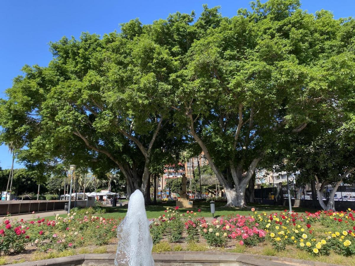 Benecharo By Canariasgetaway Las Palmas de Gran Canaria Eksteriør bilde